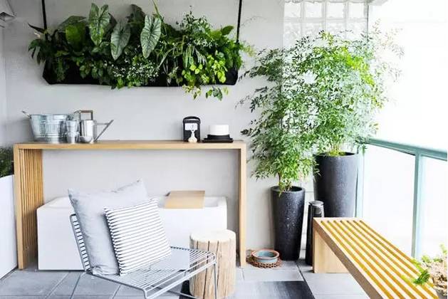 如何消除花肥的异味,无异味花肥