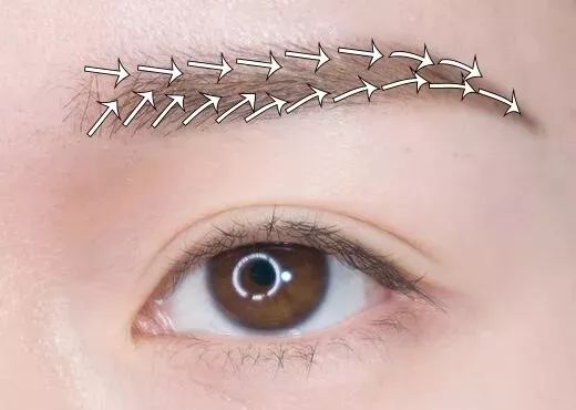 眉笔29元两支,三姿堂二叉眉笔林允