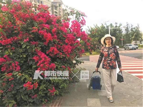 外地人去海南过冬攻略,去海南过冬清单