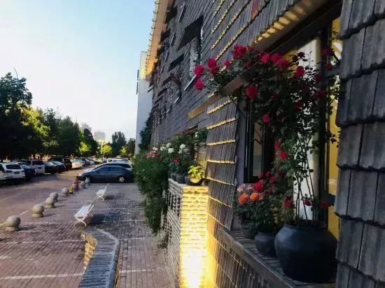 洛阳隐藏在山里的民宿,洛阳竟藏着这么一个绝美之地