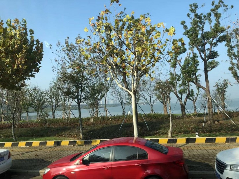 阳澄湖春季游玩攻略大全,阳澄湖秋天最美的地方