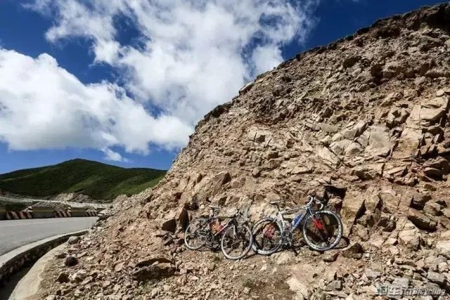 适合入门骑的公路车,适合新手入门的公路车品牌