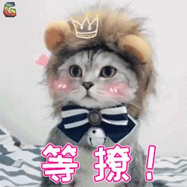 深扒海外夏令营的那些坑,让你在择营时少走弯路|二宝爸吐血良心作