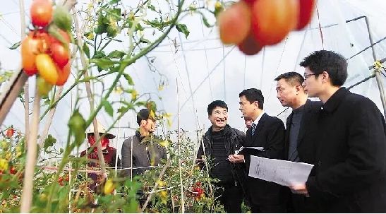 鍏ㄥ浗浼樼鍐滄皯涓撲笟鍚堜綔绀剧ず鑼冪ぞ,鍩哄眰鏈嶅姟鏍囨潌