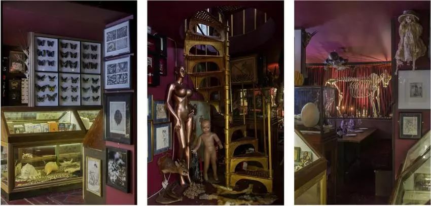 打开疯狂搜藏家的珍奇柜