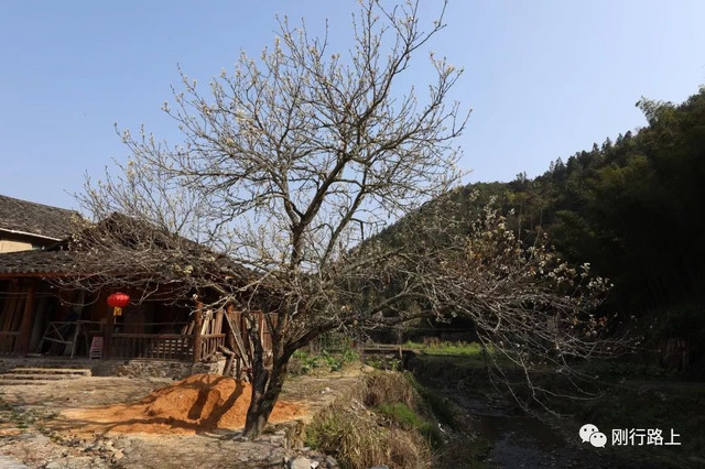 去福建土楼要先去哪个景区游玩,福建土楼永定土楼值得去吗