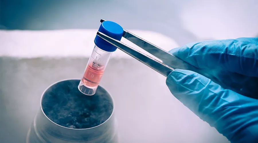 干细胞生物面膜,干细胞面膜玻尿酸面膜