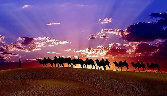 中国各省都有什么好吃的特产,全国各省著名百年老字号特产汇总