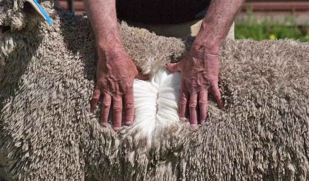 雪地靴到底要不要买,千万不能跟风买厚跟雪地靴