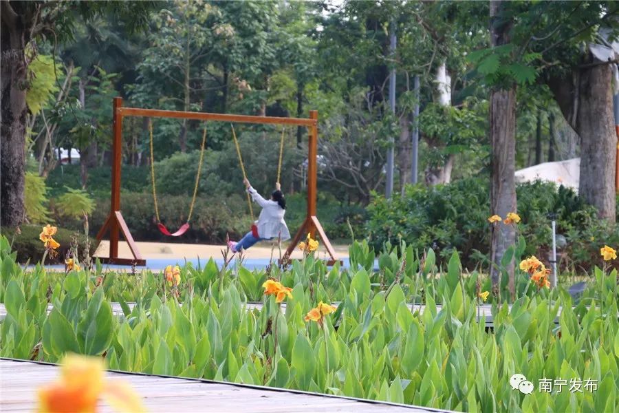 百里秀美邕江视频,百里秀美邕江风景如诗如画