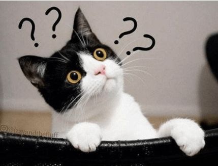 消防员向民警报警,消防员接到报警电话直接出动