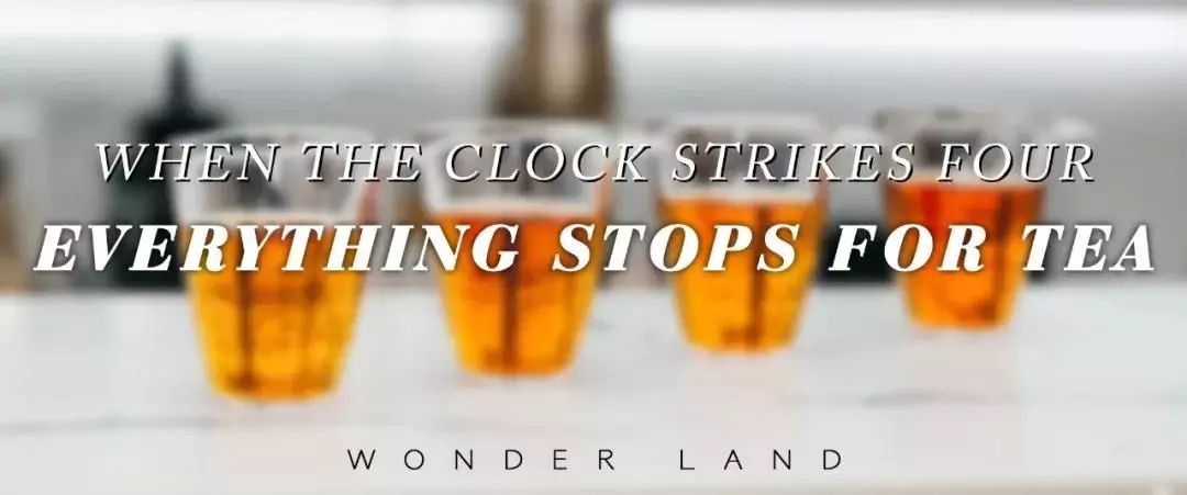 伽蓝廊走后，其他的一切都是将就……