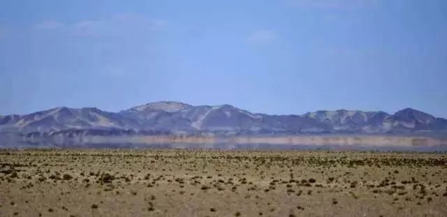 阿尔巴斯山羊绒围巾,阿尔卑斯山羊绒围巾