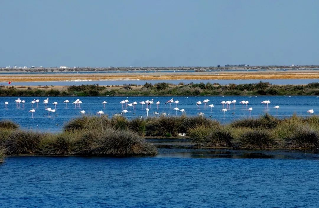 打卡完成几件事,去西班牙生活后才知道的30件事