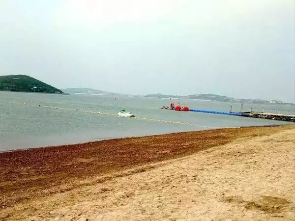 大连适合避暑的地方,大连避暑