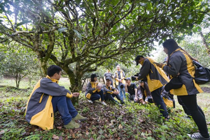 创新涌现的广州茶博，看“陈皮爆珠”如何跨界融合