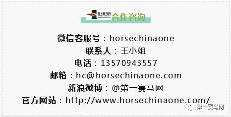 鬼马系列写真,马写真高清图片大全