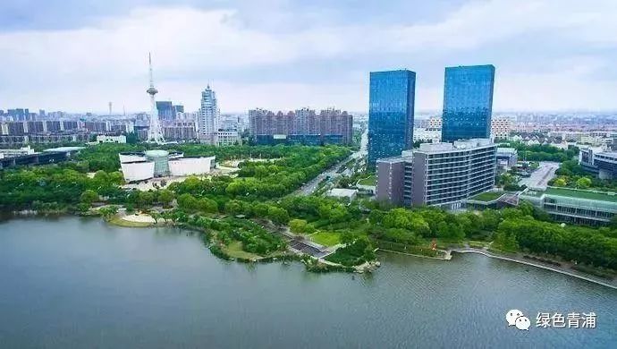 青浦就业促进中心招聘,青浦区储备人才招聘