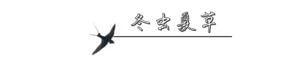 逆天了，燕窝免费送！非一般的燕窝，带你秒飞马来西亚……