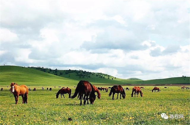 全国十佳营地,全国营地地图