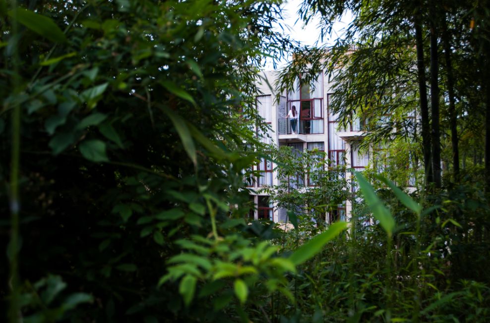 便宜又好的民宿推荐,性价比高的一家民宿