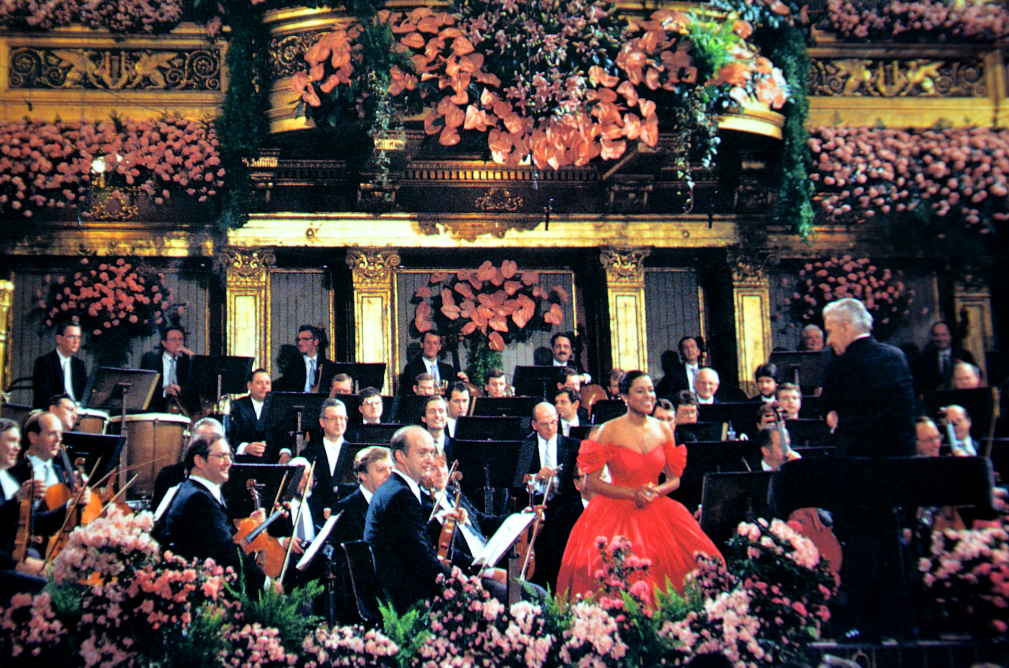 1987年，我们的电视连上了维也纳金色大厅……「卢旸刘雪枫」