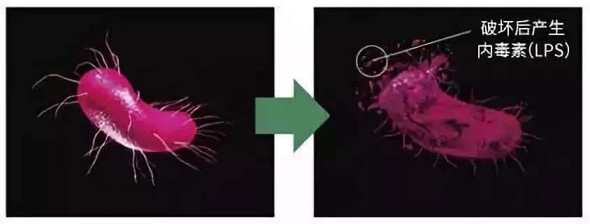 闭着嘴巴一会就干有异味,闭着嘴巴都感觉口腔有异味