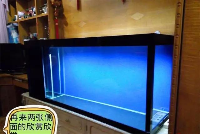 最简单的方法自制鱼缸背景,小型鱼缸制作全过程