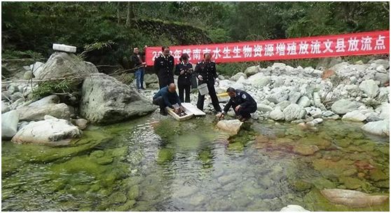 陇南市第一人民医院招聘报名,武都区第一人民医院招聘