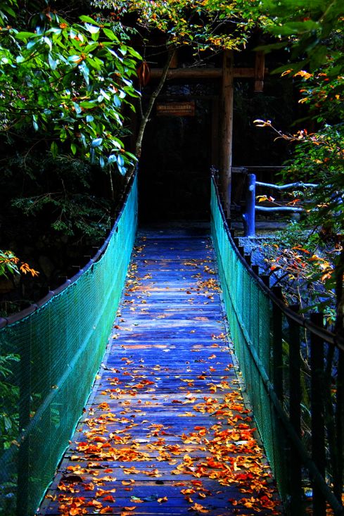 风景秀丽的浙南小城,富有魅力的浙南小城