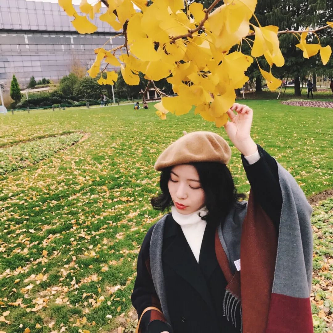 银杏打卡景点,成都周边打卡最美银杏观赏地