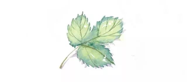 我和我的专业相爱相杀的每一天