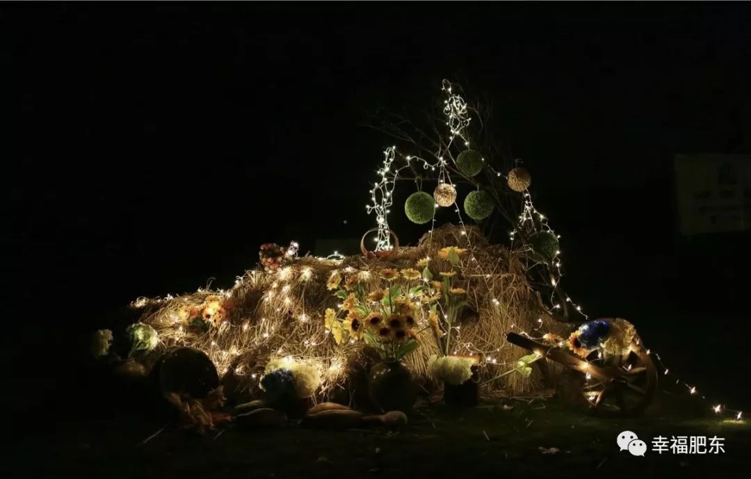 美哭！咱肥东这里竟藏着一处“秘境”，很多人都不知道……