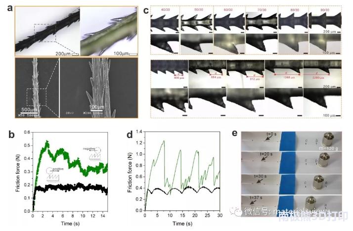 3d打印仿生面,3d打印仿生蜂鸟