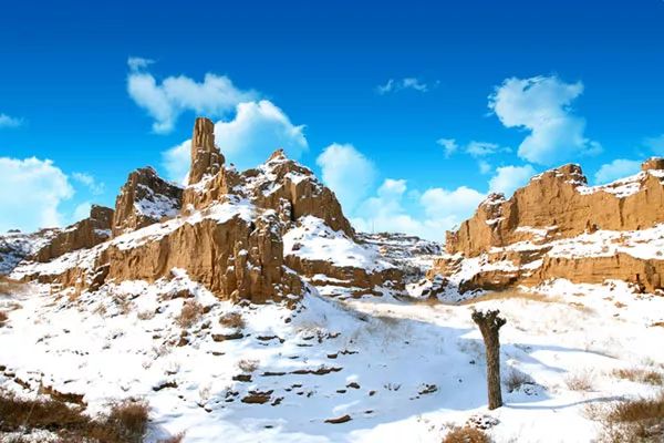 好消息银川市西夏区,宁夏最近有啥好消息