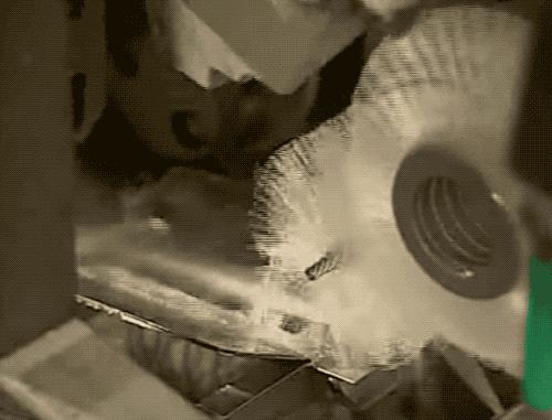 去虾头、开虾背、撕虾壳，剥虾仁的流水线长这样