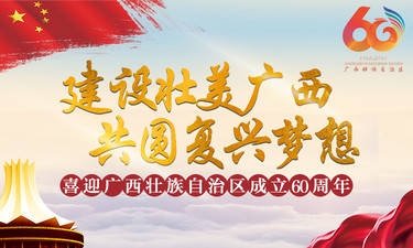 美翻了肇庆阅江大桥灯光秀,美翻了的城市视频