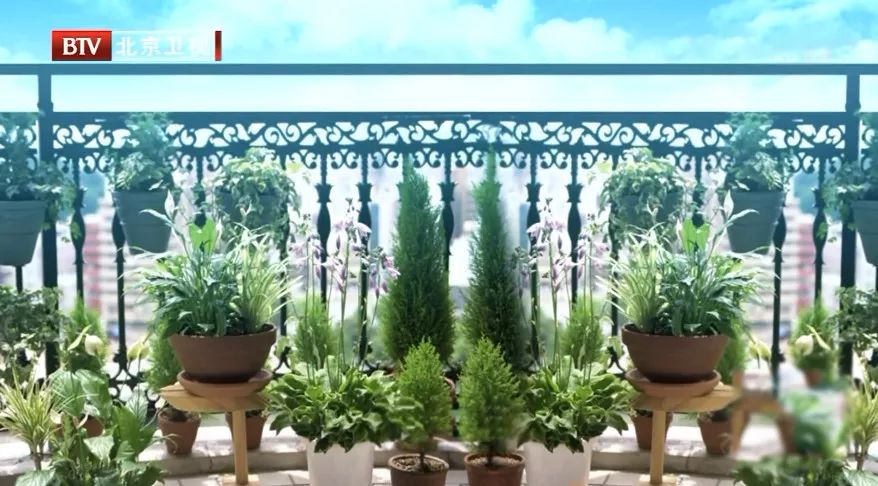 霉菌是不是百害无一利,霉菌是一等致癌物你绝对想不到