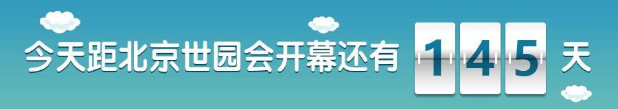 「百草园」芳香之息不减神奇药效——裂叶荆芥（八十四）