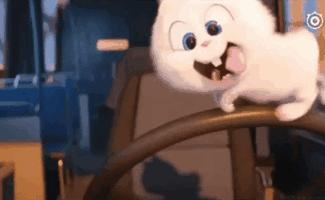 各地非物质文化遗产美食,本地特色美食非物质文化遗产