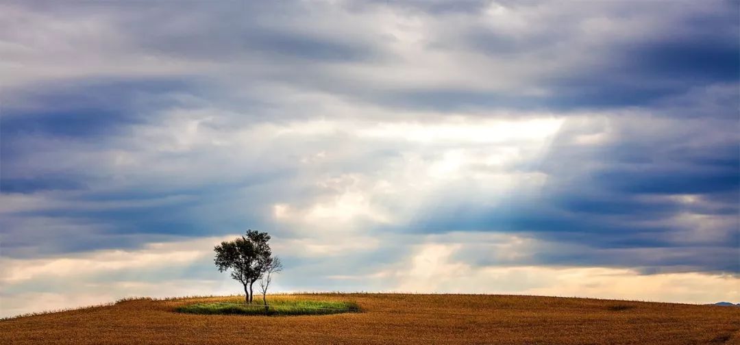 为什么学佛人都走出了困境,学佛人九大通病看看自己占了几条