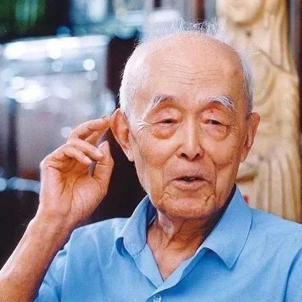 夜话丨季羡林处女作：枸杞树