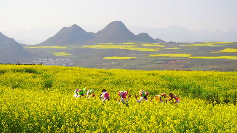 蒙自的城市风光,蒙自最美风光