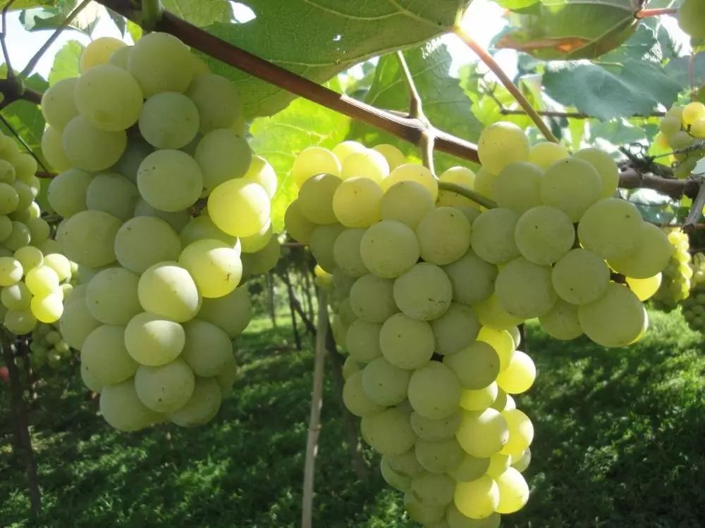 黔南3天旅游攻略,黔南荔波旅游攻略