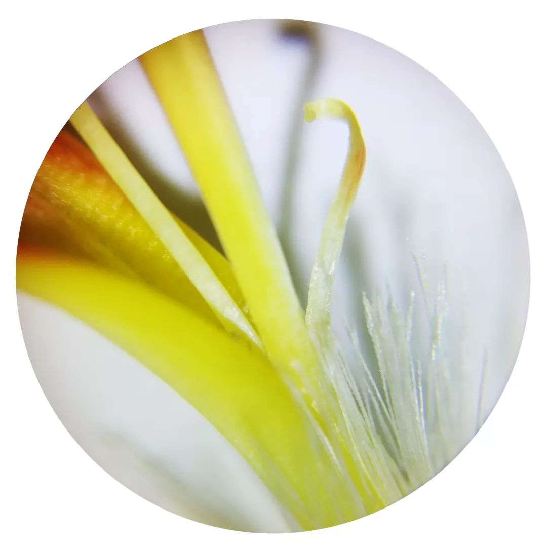 双12给宝宝囤的宝宝用品,双12宝宝必买清单