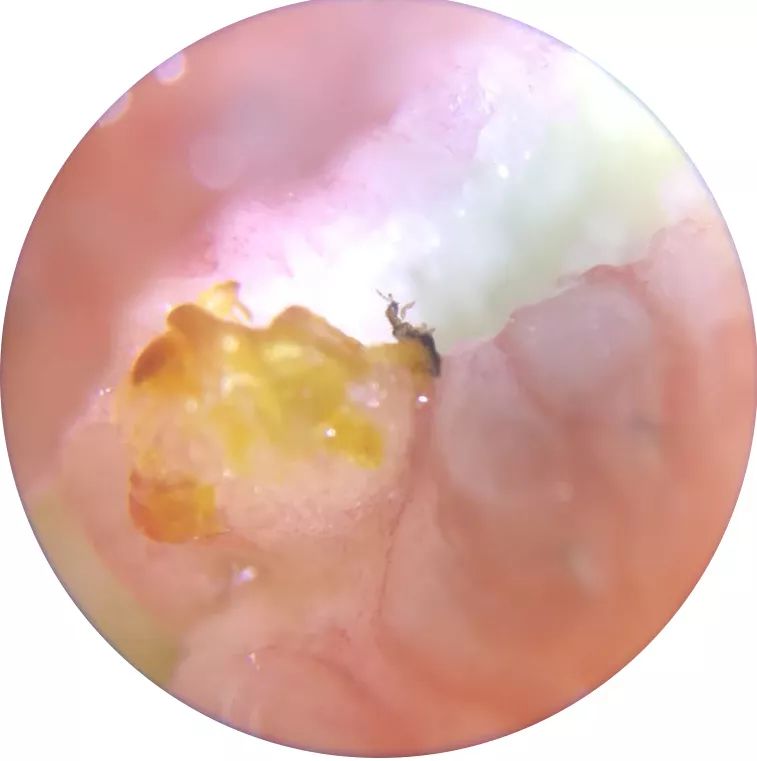 双12给宝宝囤的宝宝用品,双12宝宝必买清单