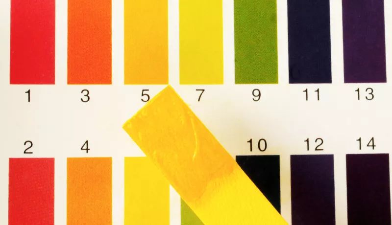 适合黄皮的mm面膜,适合黄皮便宜好用面膜