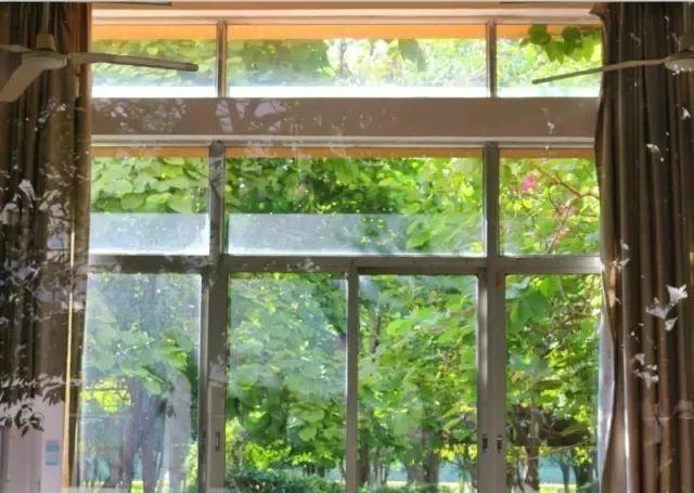 盘点那些美丽的校园时光,盘点那些美丽的校园