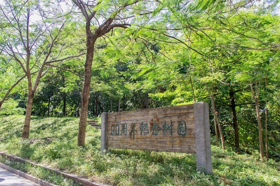 盘点那些美丽的校园时光,盘点那些美丽的校园