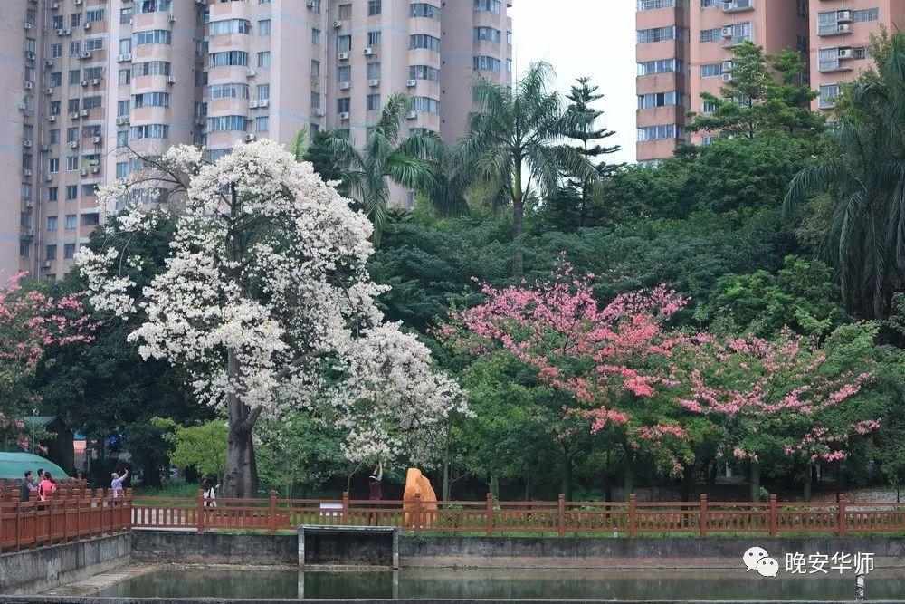 盘点那些美丽的校园时光,盘点那些美丽的校园